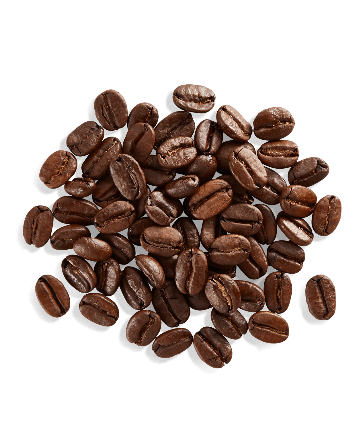 Arabian Mocha-Java - Image 3
