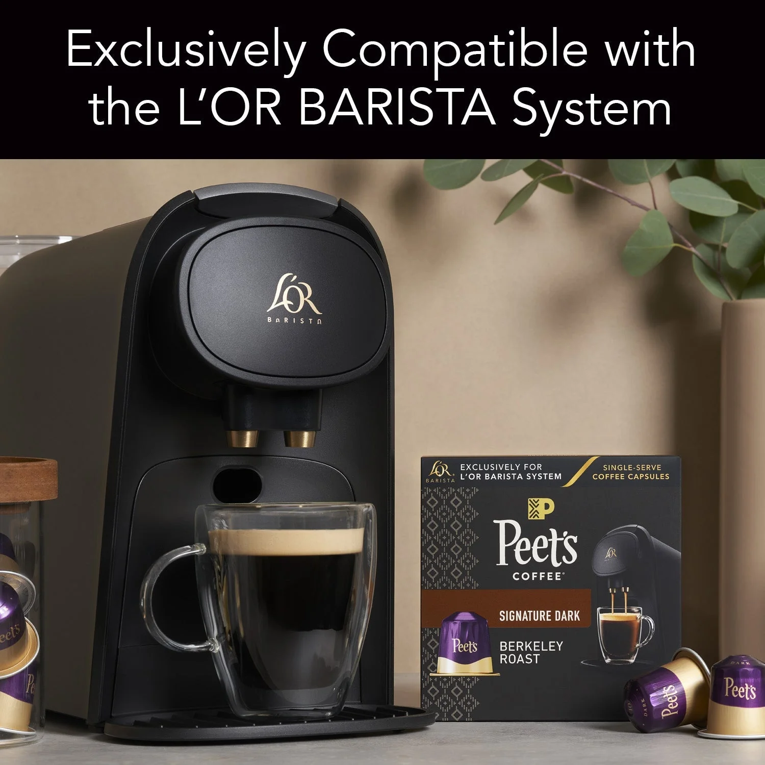 Berkeley Roast Coffee Capsules - Image 4