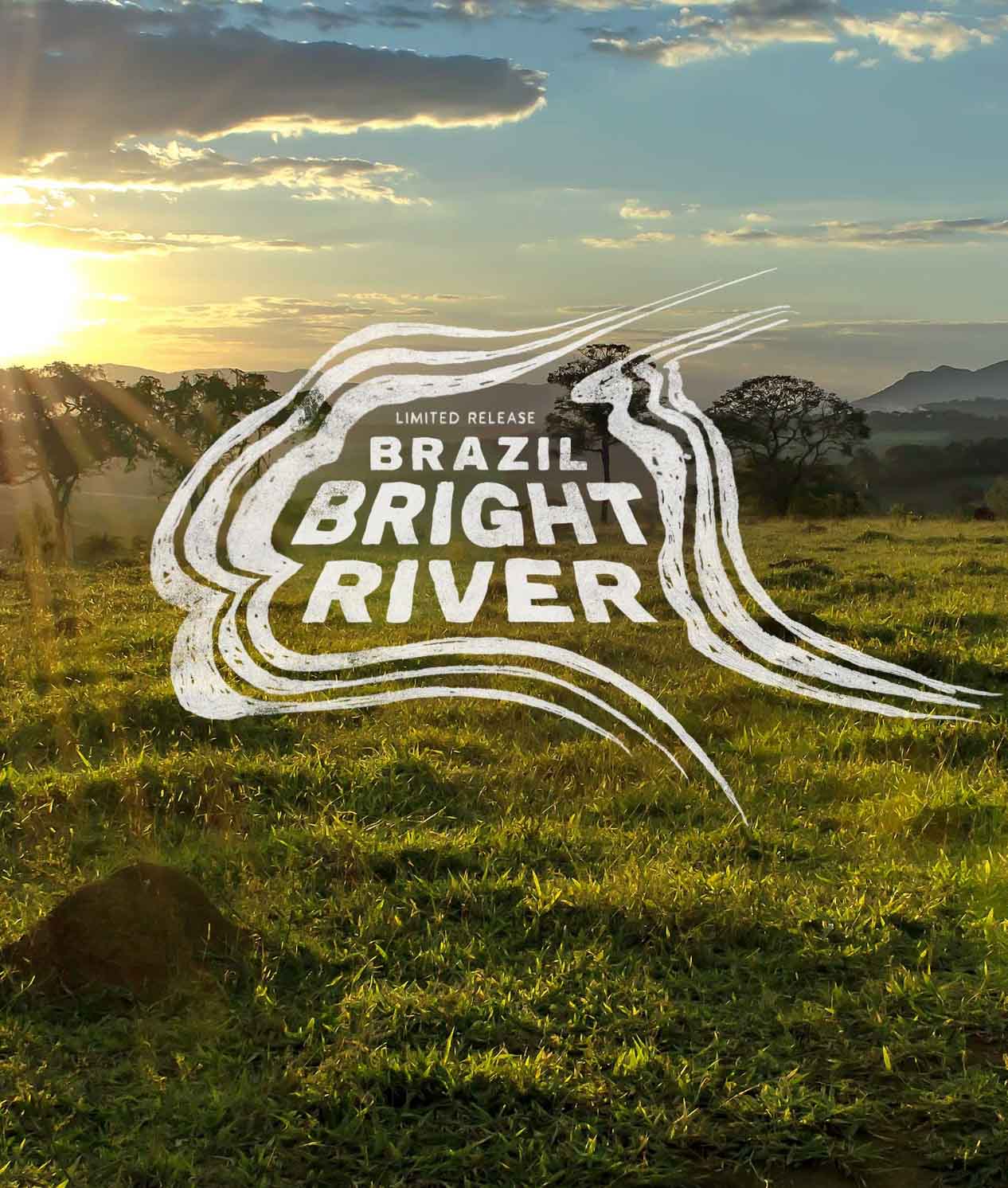 Brazil Bright River - Image 2