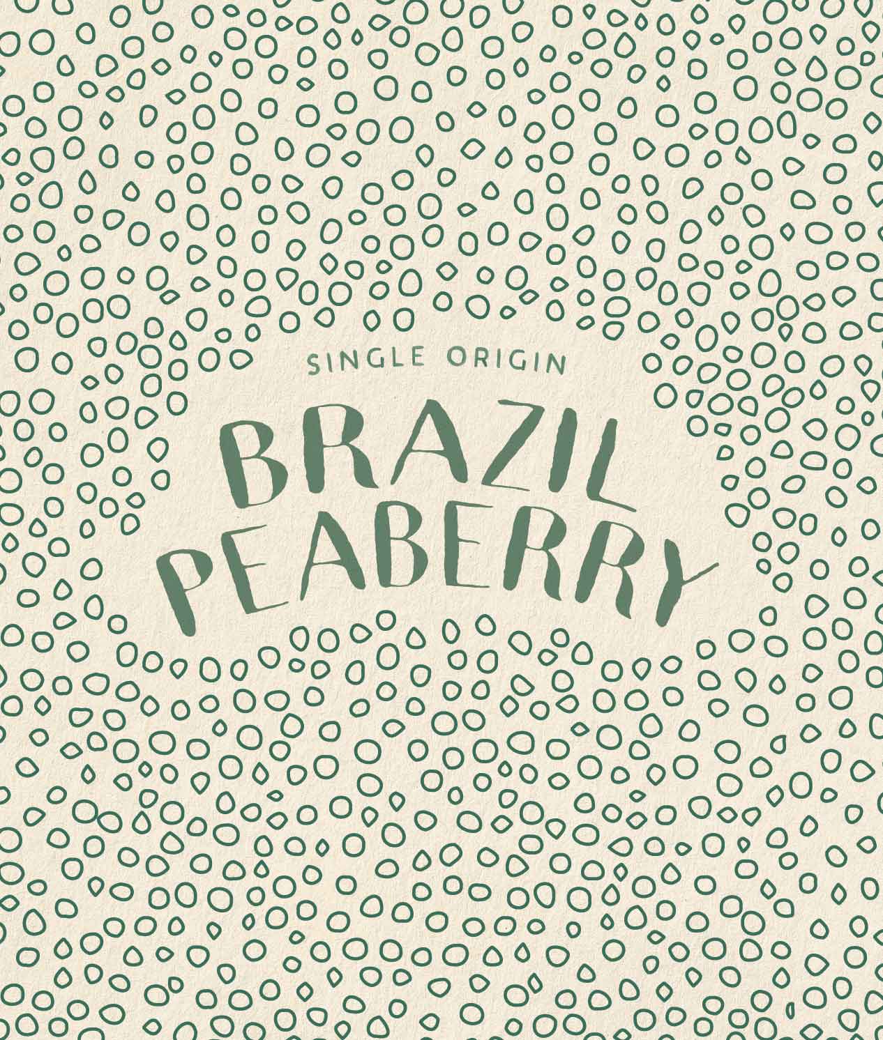 Brazil Peaberry - Image 2