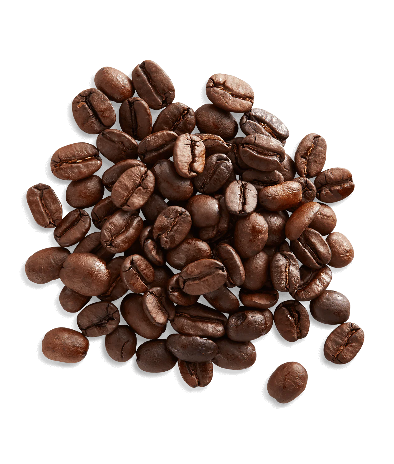 Espresso Forte® - Image 3