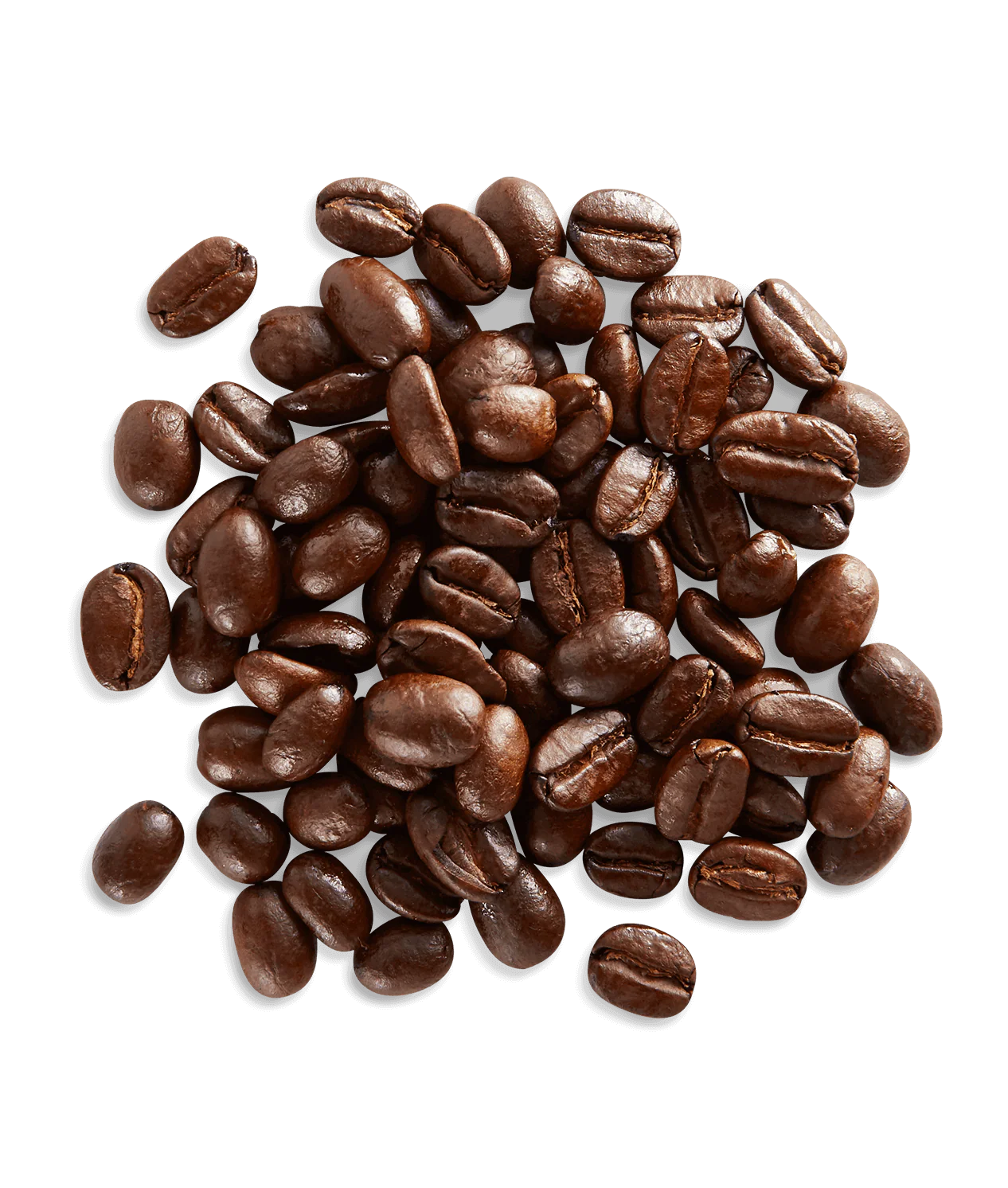 Ethiopian Fancy - Image 3