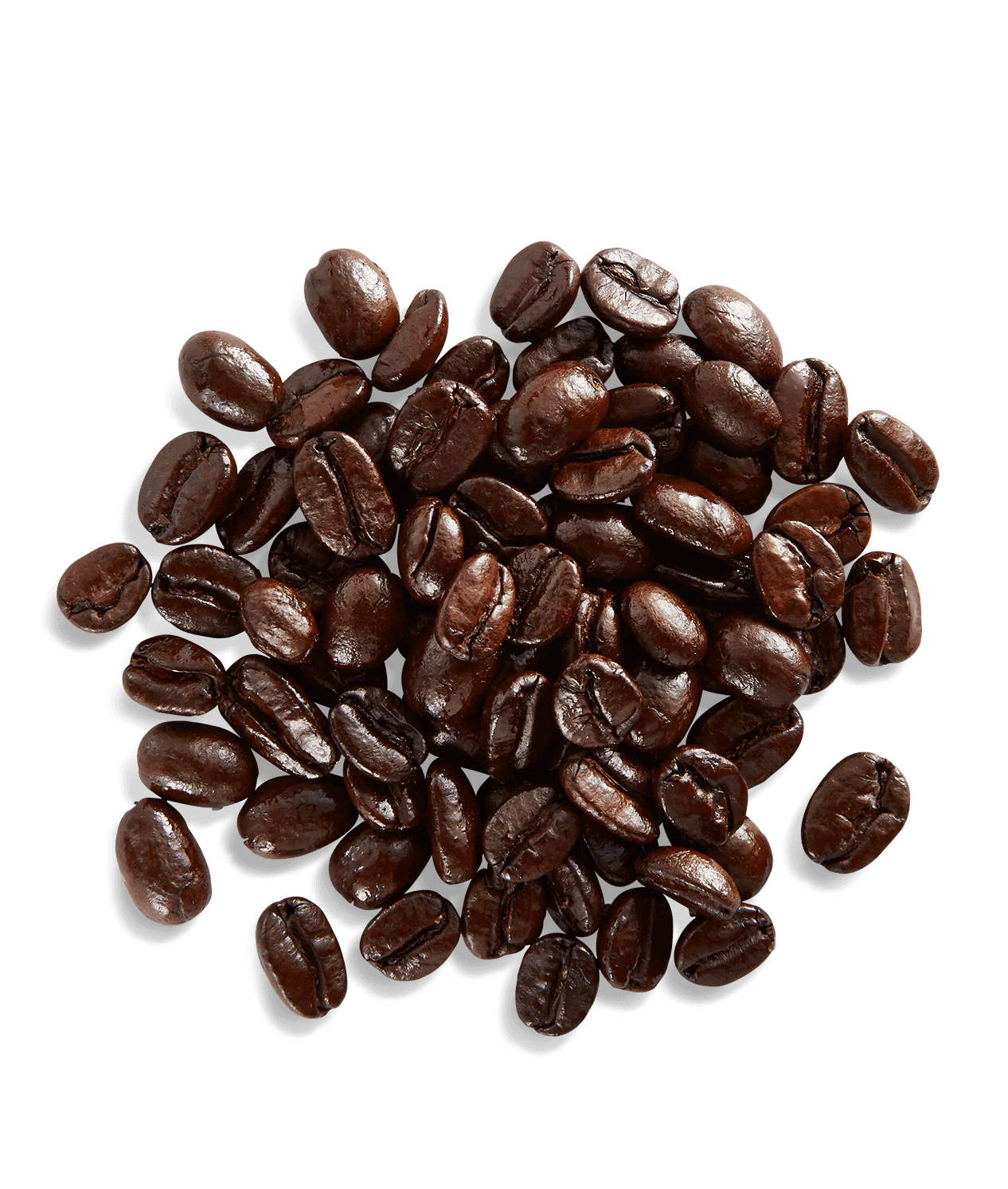 French Roast - Image 3