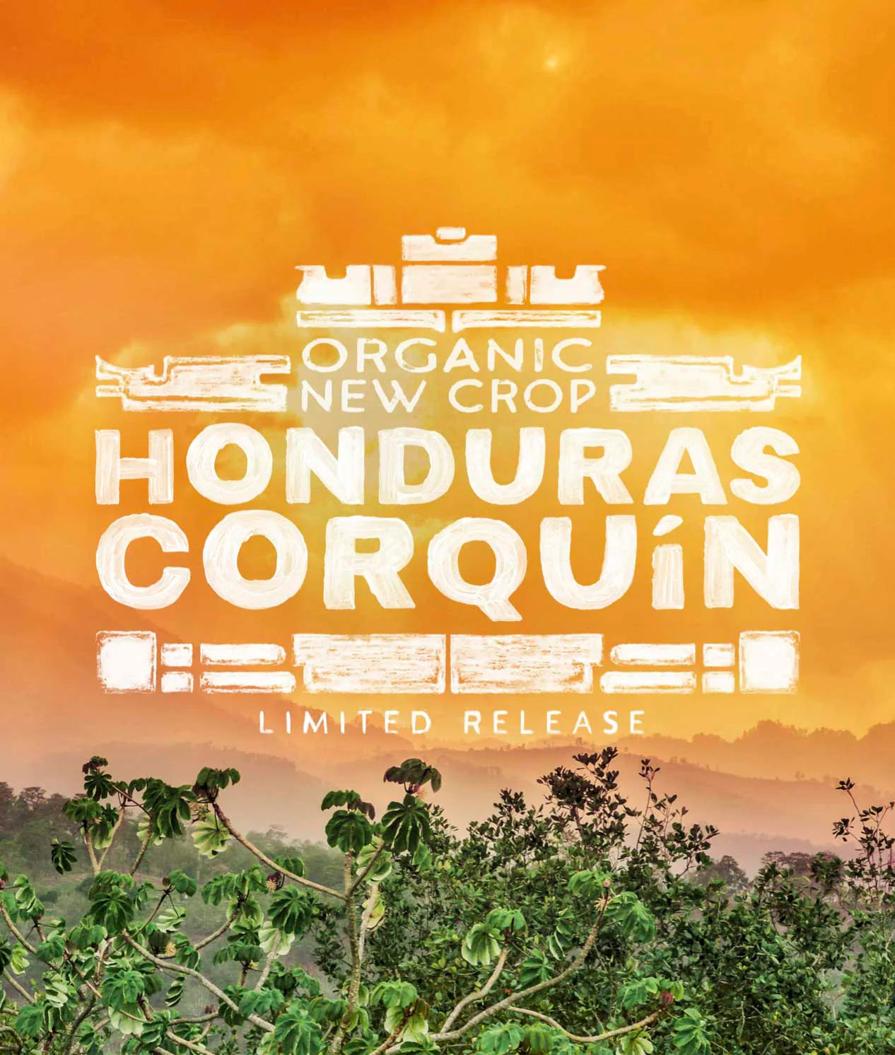 Organic New Crop Honduras Corquín - Image 2