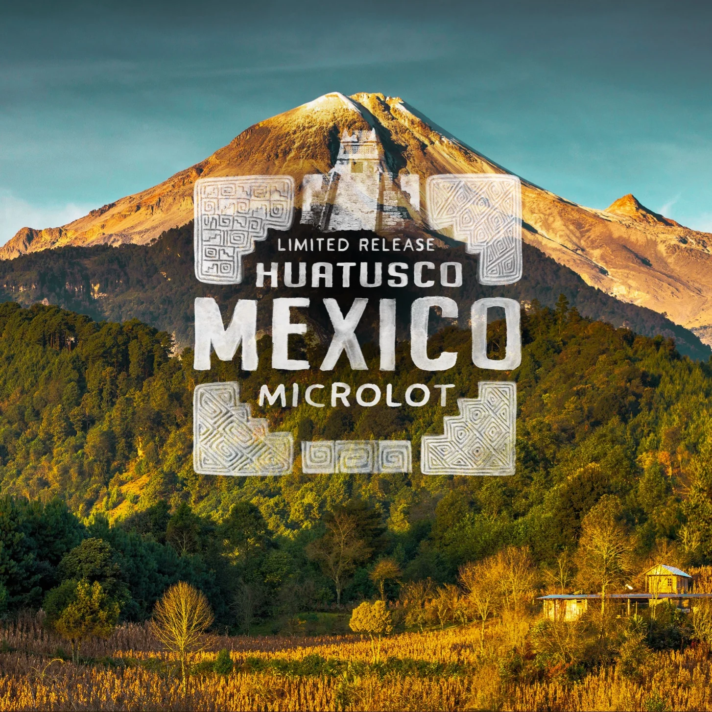 Huatusco Mexico Microlot - Image 2
