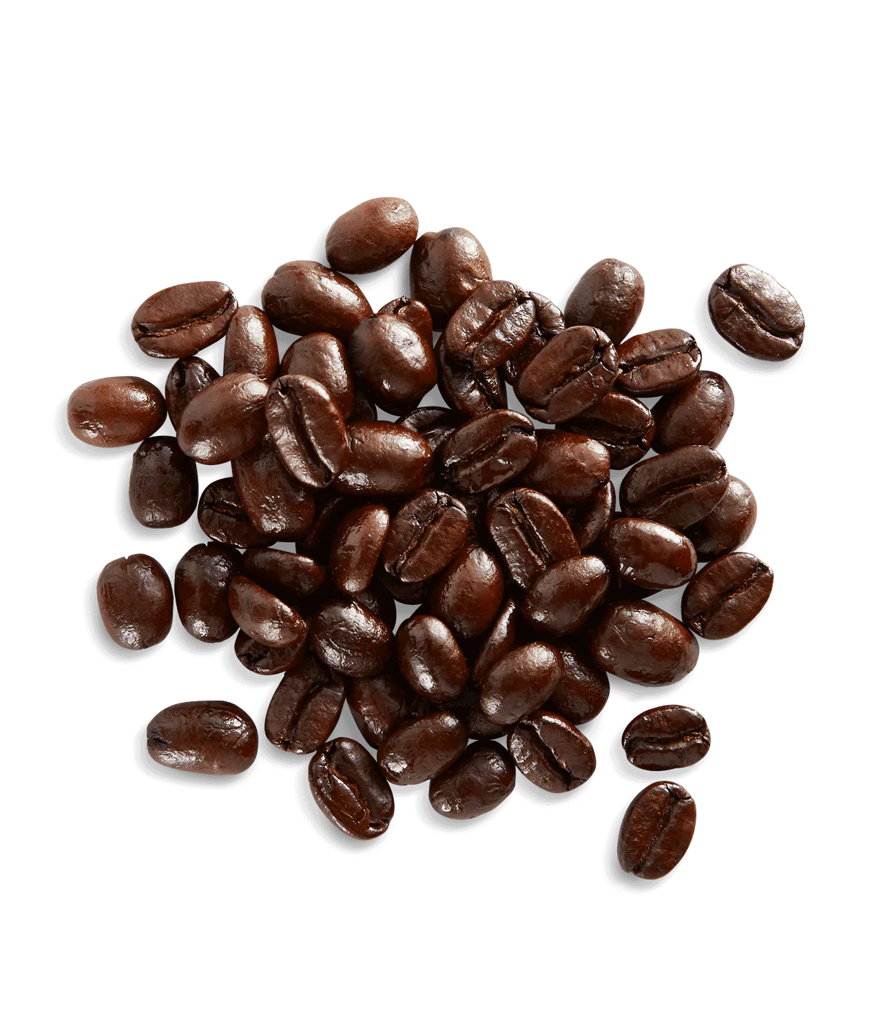 Organic French Roast - Image 3