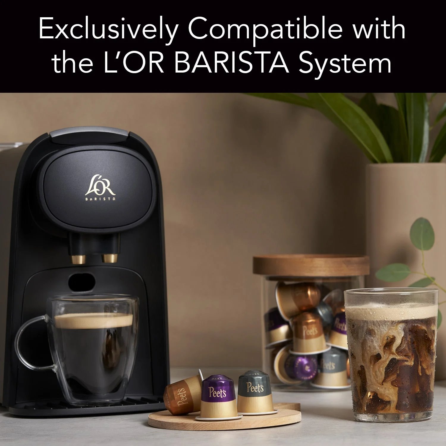 Peet's Coffee Capsules Sampler - Image 6