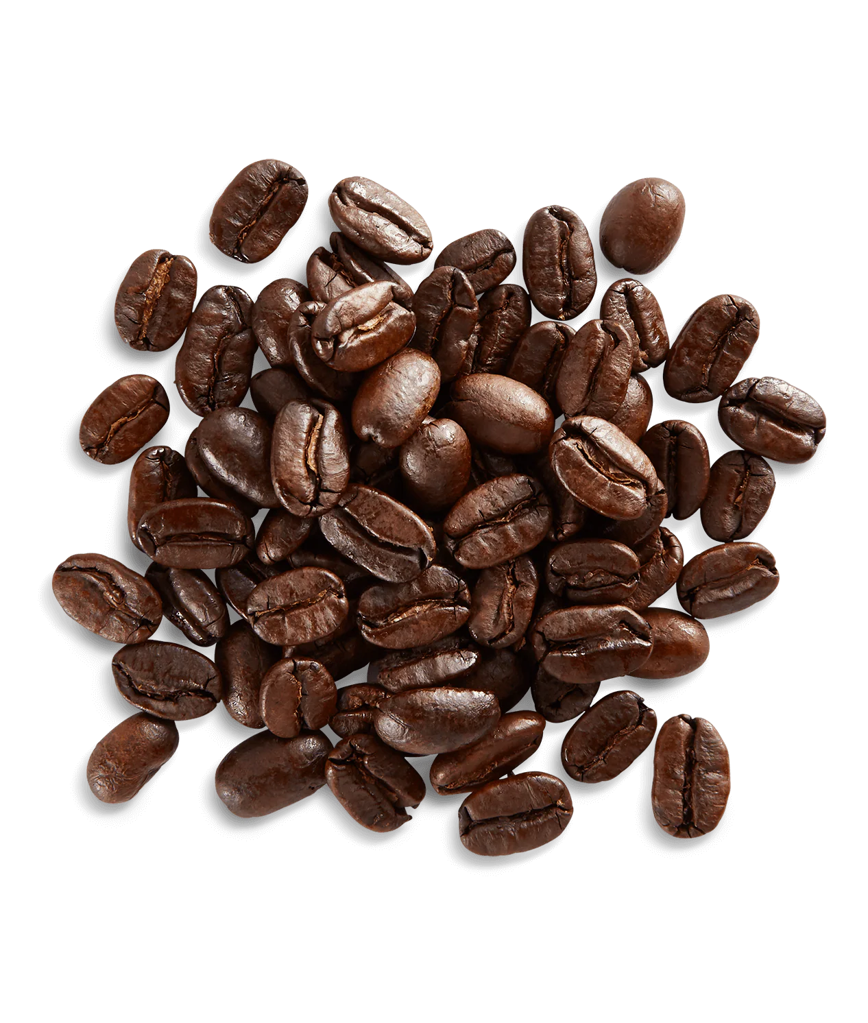 Sumatra - Image 3